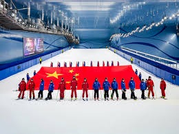 羽毛球：王祉怡制胜分 瑞昌首夺羽超冠军